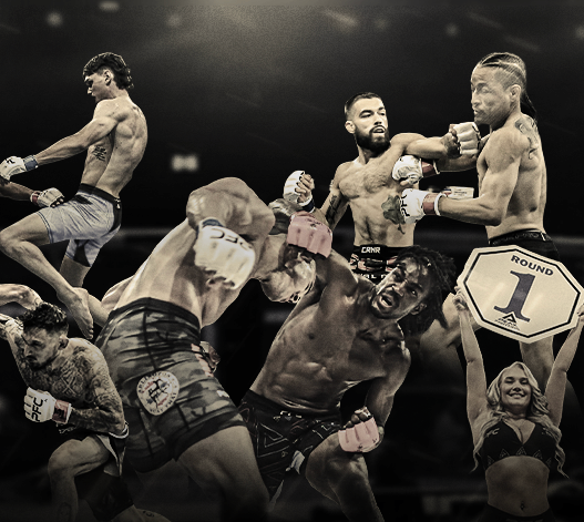 Peak Fighting 54