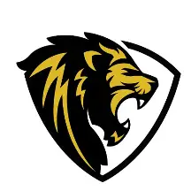 Michigan Institute of Athletics